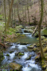 Rapids on Daniel Creek in Cloudland Canyon State Park, near Rising Fawn, Georgia.