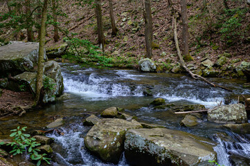 Rapids on Daniel Creek in Cloudland Canyon State Park, near Rising Fawn, Georgia.