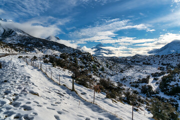 Fresh dump of snow on the way to Aoraki Mt Cook National Park