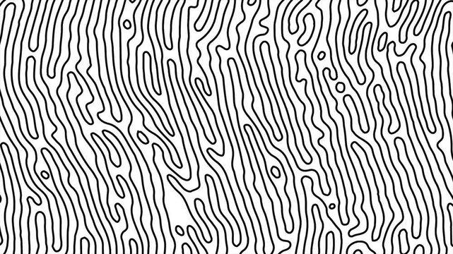 unique abstract animated line background with Single, Monoline Pattern