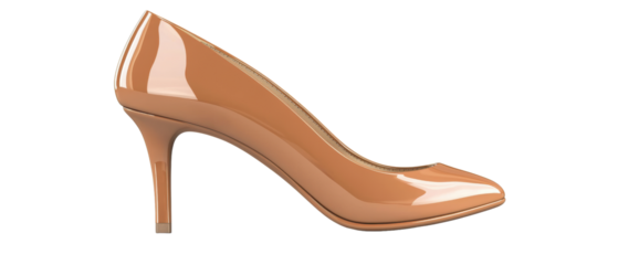 Elegant high heel shoe for fashionable women.