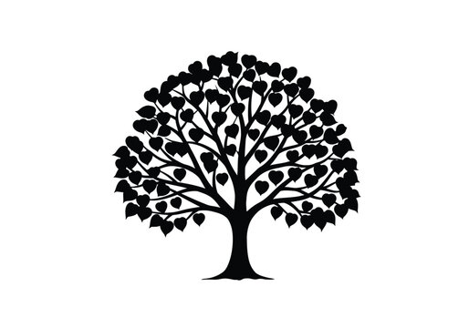 Bodhi tree silhouette. This image showcases a black silhouette of a Bodhi tree, a sacred tree in Buddhism known for its spreading branches and distinctive foliage. Vector clipart illustration design.