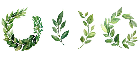 Elegant botanical illustrations of green leaves.