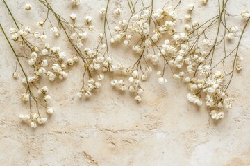 Delicate, dried white flowers arranged on a light beige stone surface