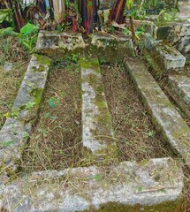 Old Stone Garden Edging Covered in Moss and Weeds