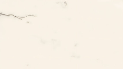 "Understated matte cream marble with gray veins, perfect for minimalist and serene designs. Natural, seamless, and high-resolution."