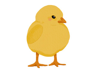 baby chicken yellow