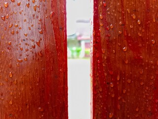 Water Droplets on Wooden Posts After Rain Close Up