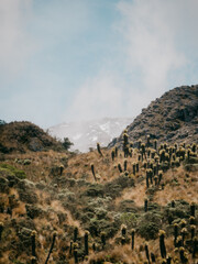 landscape of the mountains