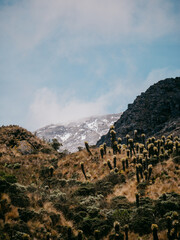 Nevado del Ruiz Colombia