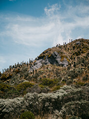 rocks in the mountains