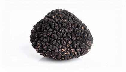 Whole Black Truffle Isolated on White Background
