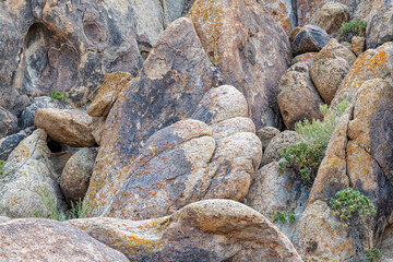 Desert sagebrush grows among the dense rock formations in the Alabama Hills of California, USA