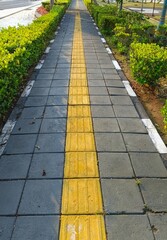 Obraz premium Walking Path with Tactile Paving in a Park Setting