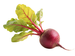 Fresh Red Beetroot with Vibrant Green Leaves