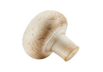 Close up shot of a single white mushroom isolated on transparent background