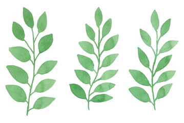 Watercolor leaves illustration set - green leaf branches collection for wedding, greetings, stationary, wallpapers, fashion, background. olive, green leaves, Eucalyptus etc