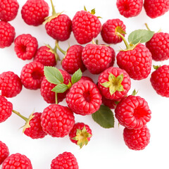 Set of ripe raspberries on a transparent background. Large collection of juicy raspberries