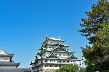 快晴の空に映える名古屋城天守閣