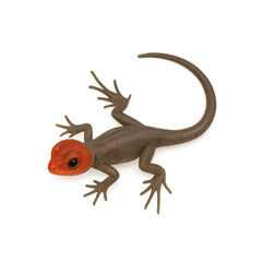 Naklejka premium Red Headed Basilisk Hatchling