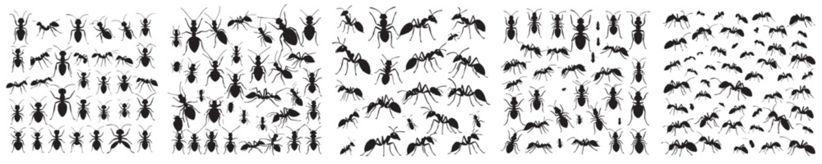 set of vector icons ant silhouettes