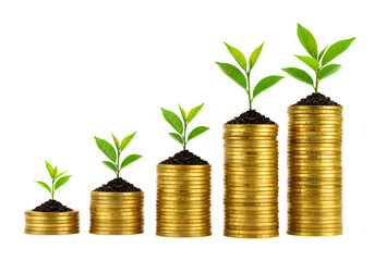 Stacks of gold coins with growing green plants symbolize investment growth, eco-friendly wealth, and sustainable financial success, isolated on white or transparent background. PNG