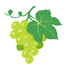 A vibrant illustration of green grapes with a leaf. 