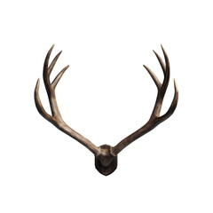 Majestic Deer Antlers Wall Mount Rustic Home Decor
