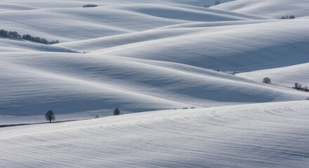 Obraz premium Snowy Rolling Hills Winter Landscape