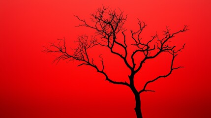 Fototapeta premium Twisted Branches of a Silhouetted Tree Against Red Sky