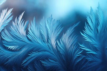 Intricate frost patterns on a winter window.