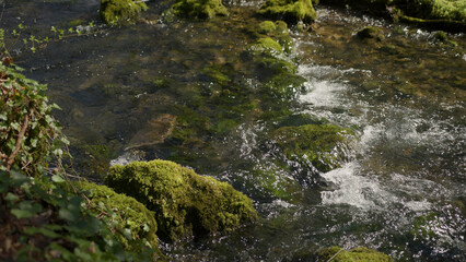 A beautiful view of the sunny detail of the river with stones overgrown with moss.