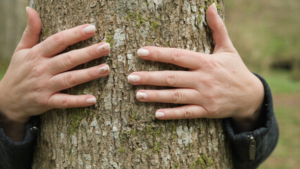 The woman's hands embrace the tree trunk. Tree hug. Deforestation concept.
