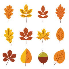 Hello Autumn: Celebrating Fall Colors