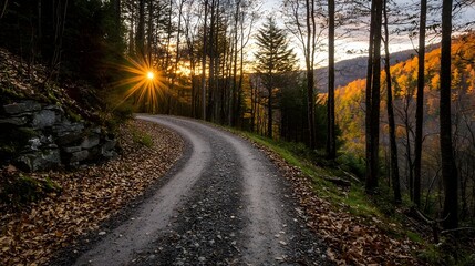 Fototapeta premium Serene Autumn Pathway with Sunburst in Lush Forest at Sunset