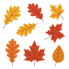 Hello Autumn: Celebrating Fall Colors