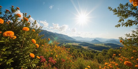 Summer Days, Sunny Fun Outdoors