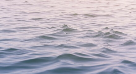 Calm Water Surface with Gentle Ripples at Sunset