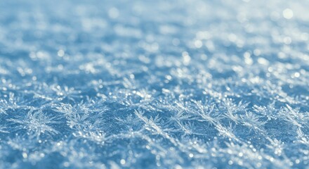 Obraz premium Snowflakes Closeup Sparkling in Winter Sunlight on Cold Surface