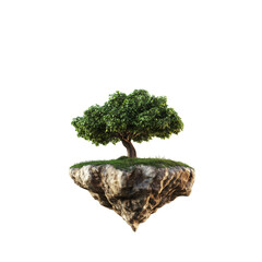 Majestic Evergreen Tree on a Floating Rock Island, Isolated on Transparent Background: Nature, Ecology, and Environmental Conservation Concept