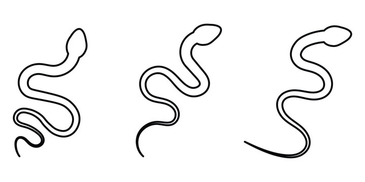 snake icon. snake icon with outline stroke.