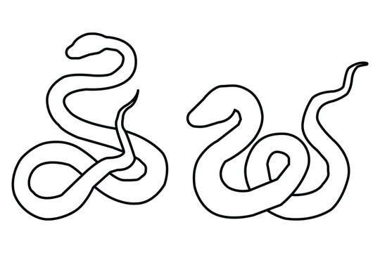 snake icon. snake icon with outline stroke.