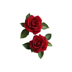 Two Exquisite Red Roses with Lush Green Leaves, Isolated on Transparent Background: Perfect for Romantic Designs and Floral Arrangements