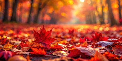 Richly colored vibrant red autumn leaves scattered on a forest floor, fall colors