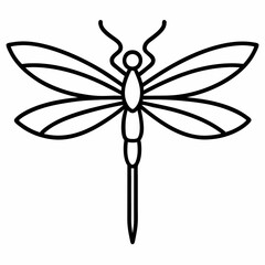 dragonfly on white background
