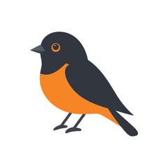 Cute Orange and Black Bird Illustration