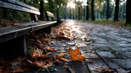 Obraz premium Park Bench and Autumn Leaves on Brick Path
