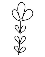 Linear flower in doodle style, outline plant with tall stem and small leaves for design