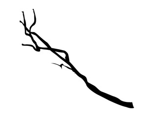 Fototapeta premium twig template vector design illustration mono color