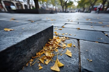 Fototapeta premium Paved Plaza with Fallen Ginkgo Leaves